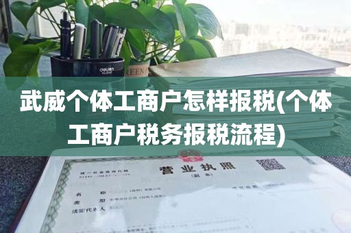 武威个体工商户怎样报税(个体工商户税务报税流程)