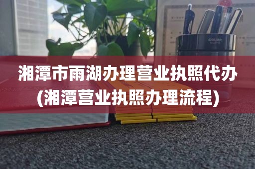 湘潭市雨湖办理营业执照代办(湘潭营业执照办理流程)