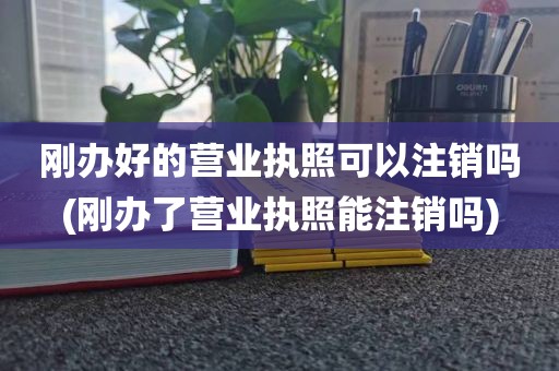刚办好的营业执照可以注销吗(刚办了营业执照能注销吗)