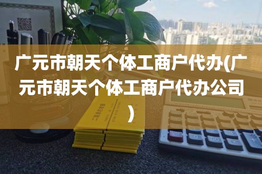 广元市朝天个体工商户代办(广元市朝天个体工商户代办公司)