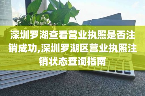 深圳罗湖查看营业执照是否注销成功,深圳罗湖区营业执照注销状态查询指南