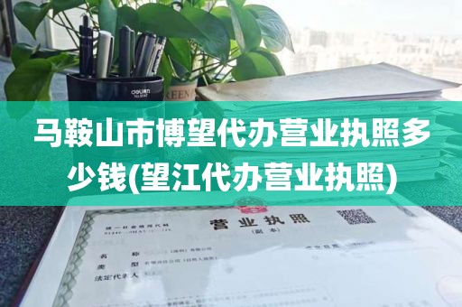 马鞍山市博望代办营业执照多少钱(望江代办营业执照)