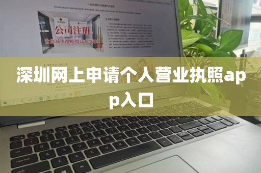深圳网上申请个人营业执照app入口