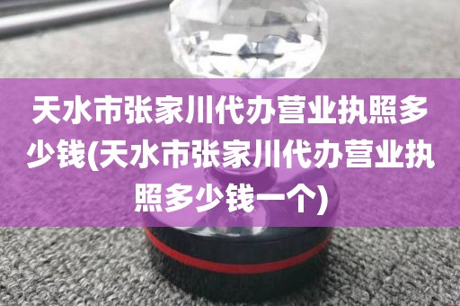 天水市张家川代办营业执照多少钱(天水市张家川代办营业执照多少钱一个)