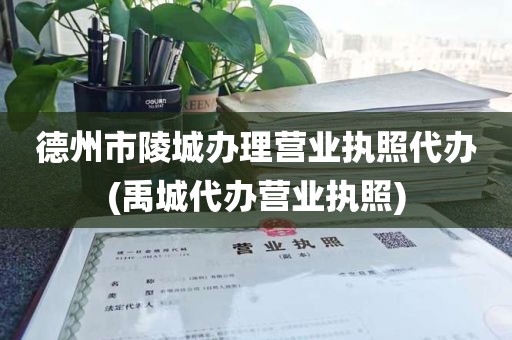 德州市陵城办理营业执照代办(禹城代办营业执照)