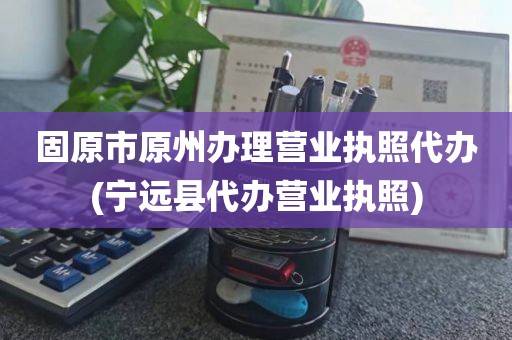 固原市原州办理营业执照代办(宁远县代办营业执照)
