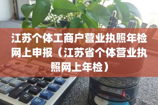 江苏个体工商户营业执照年检网上申报（江苏省个体营业执照网上年检）