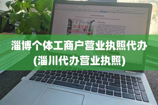 淄博个体工商户营业执照代办(淄川代办营业执照)