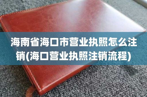 海南省海口市营业执照怎么注销(海口营业执照注销流程)
