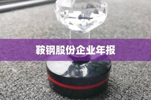 鞍钢股份企业年报