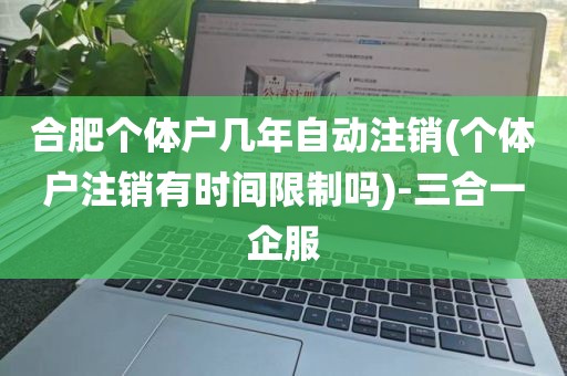 合肥个体户几年自动注销(个体户注销有时间限制吗)-三合一企服