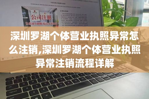深圳罗湖个体营业执照异常怎么注销,深圳罗湖个体营业执照异常注销流程详解