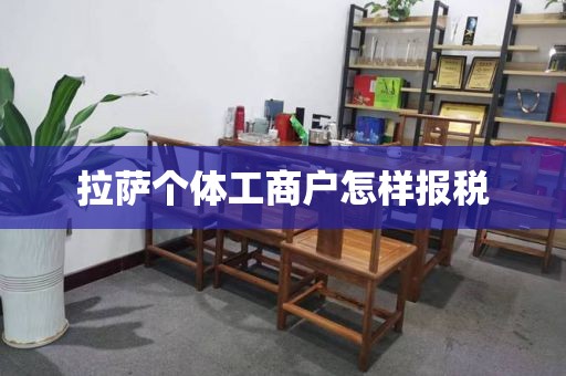 拉萨个体工商户怎样报税