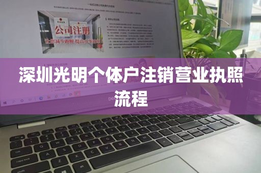 深圳光明个体户注销营业执照流程