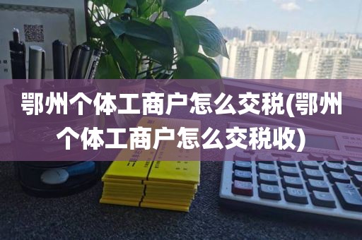 鄂州个体工商户怎么交税(鄂州个体工商户怎么交税收)