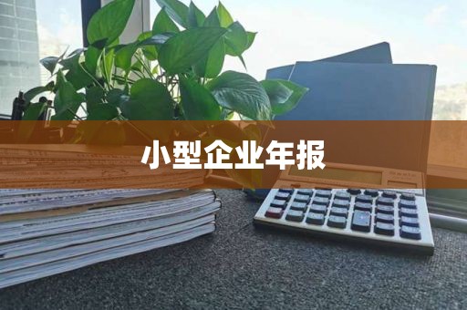 小型企业年报