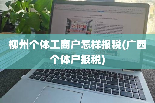 柳州个体工商户怎样报税(广西个体户报税)