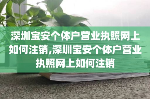 深圳宝安个体户营业执照网上如何注销,深圳宝安个体户营业执照网上如何注销