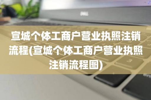 宣城个体工商户营业执照注销流程(宣城个体工商户营业执照注销流程图)