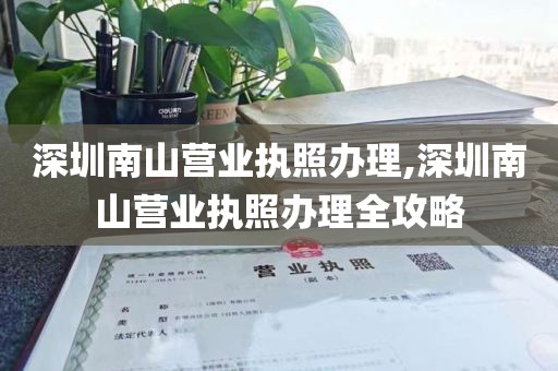 深圳南山营业执照办理,深圳南山营业执照办理全攻略