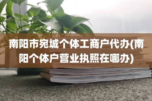 南阳市宛城个体工商户代办(南阳个体户营业执照在哪办)