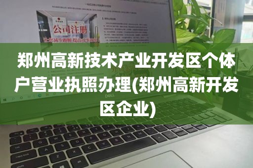 郑州高新技术产业开发区个体户营业执照办理(郑州高新开发区企业)