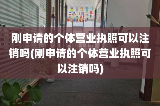 刚申请的个体营业执照可以注销吗(刚申请的个体营业执照可以注销吗)