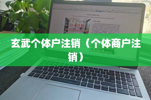 玄武个体户注销（个体商户注销）