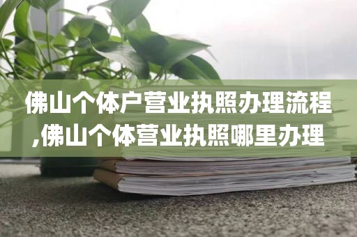 佛山个体户营业执照办理流程,佛山个体营业执照哪里办理
