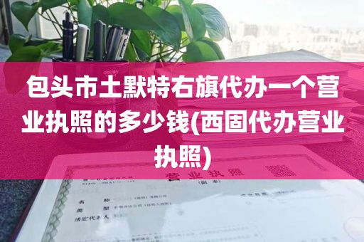 包头市土默特右旗代办一个营业执照的多少钱(西固代办营业执照)