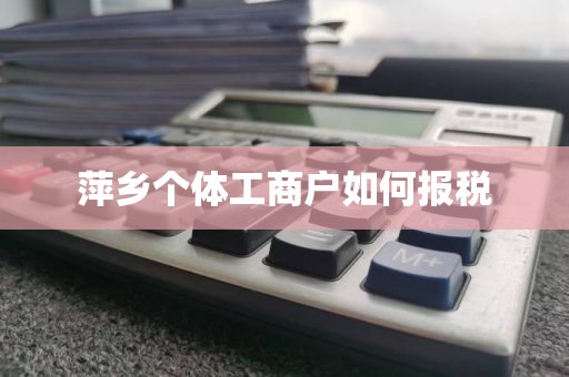 萍乡个体工商户如何报税