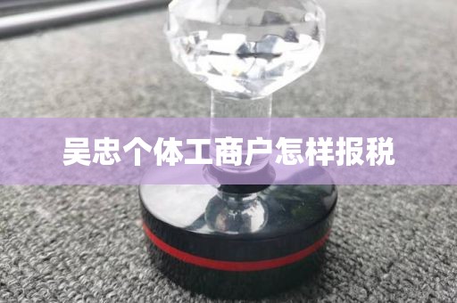 吴忠个体工商户怎样报税