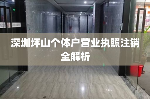 深圳坪山个体户营业执照注销全解析