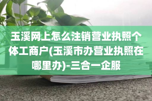 玉溪网上怎么注销营业执照个体工商户(玉溪市办营业执照在哪里办)-三合一企服