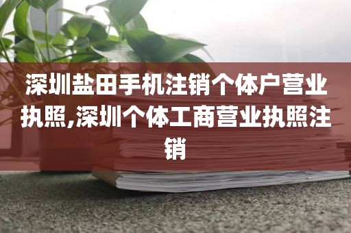 深圳盐田手机注销个体户营业执照,深圳个体工商营业执照注销