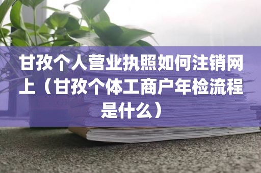 甘孜个人营业执照如何注销网上（甘孜个体工商户年检流程是什么）