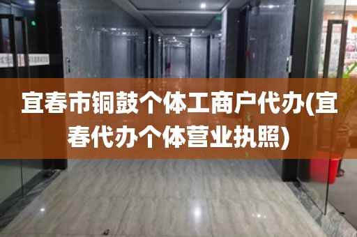 宜春市铜鼓个体工商户代办(宜春代办个体营业执照)