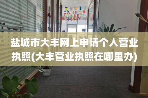 盐城市大丰网上申请个人营业执照(大丰营业执照在哪里办)