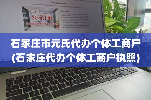 石家庄市元氏代办个体工商户(石家庄代办个体工商户执照)
