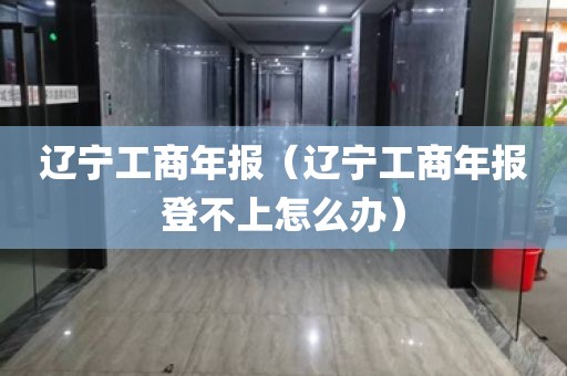 辽宁工商年报（辽宁工商年报登不上怎么办）