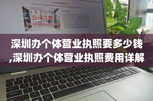 深圳办个体营业执照要多少钱,深圳办个体营业执照费用详解