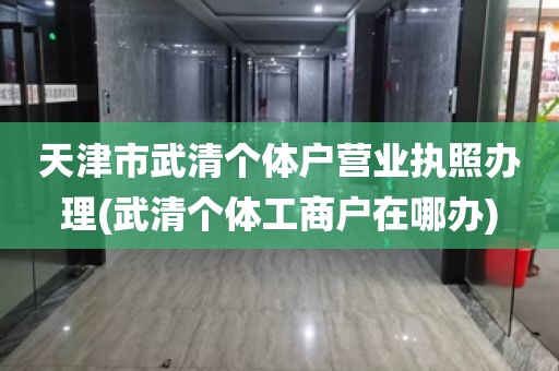 天津市武清个体户营业执照办理(武清个体工商户在哪办)