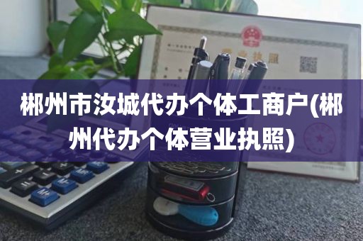 郴州市汝城代办个体工商户(郴州代办个体营业执照)