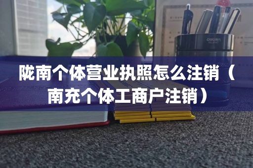 陇南个体营业执照怎么注销（南充个体工商户注销）