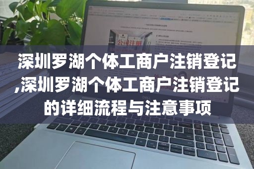 深圳罗湖个体工商户注销登记,深圳罗湖个体工商户注销登记的详细流程与注意事项