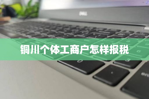 铜川个体工商户怎样报税