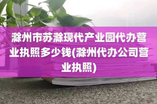 滁州市苏滁现代产业园代办营业执照多少钱(滁州代办公司营业执照)