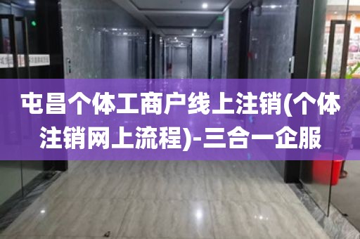 屯昌个体工商户线上注销(个体注销网上流程)-三合一企服