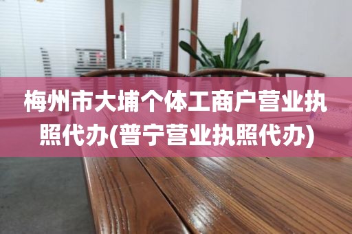 梅州市大埔个体工商户营业执照代办(普宁营业执照代办)