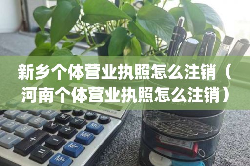 新乡个体营业执照怎么注销（河南个体营业执照怎么注销）